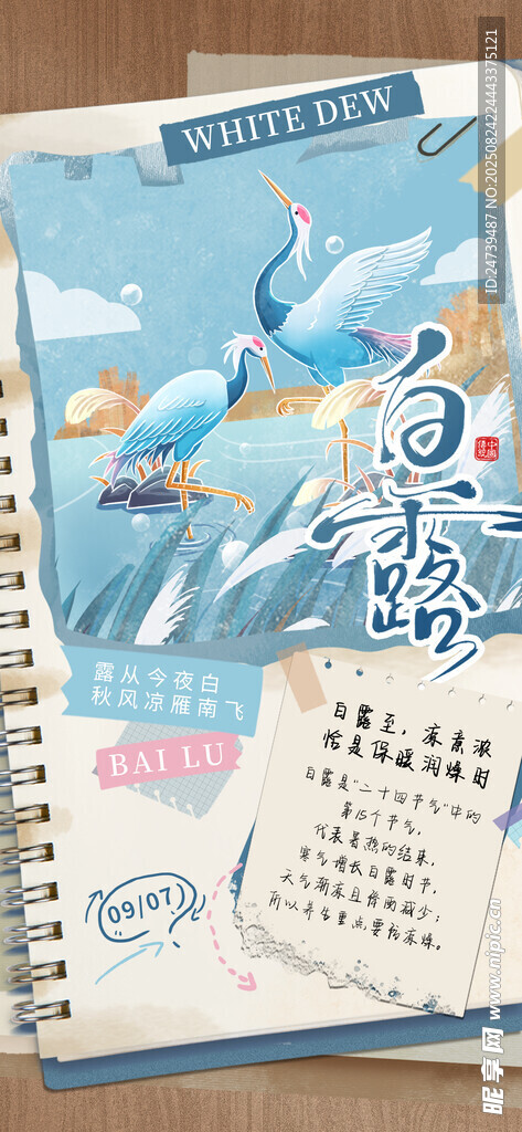 白露海报