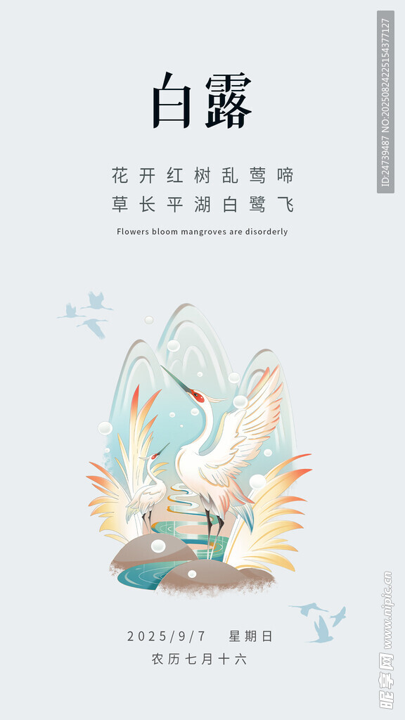 白露海报