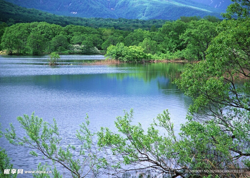 湖畔绿意 自然山水美景