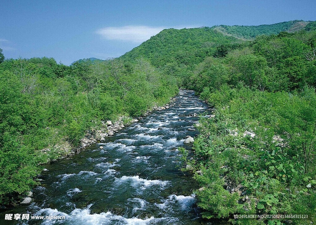山间溪流 绿意盎然的景致