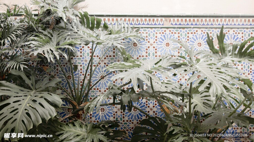 覆雪绿植景观