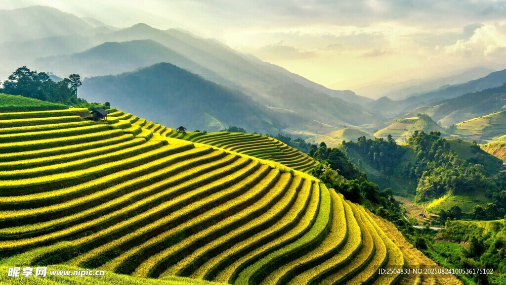 梯田美景 山间田园风光