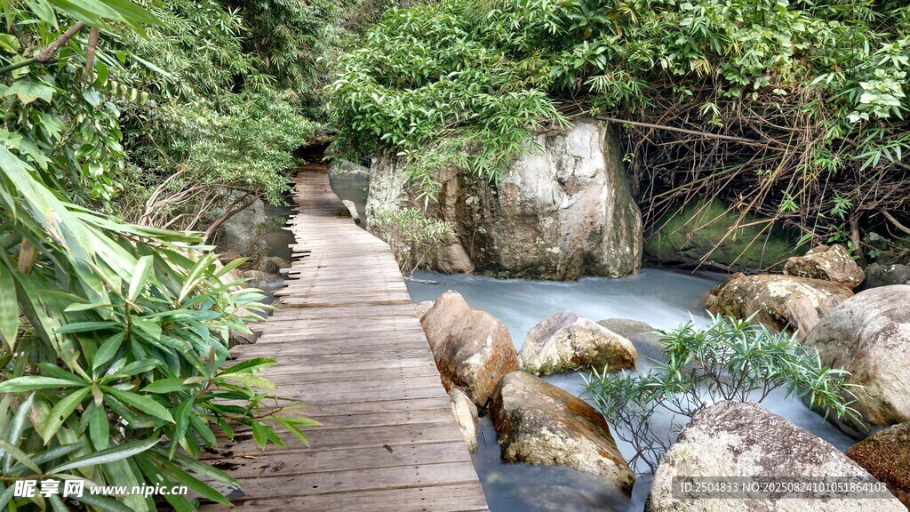 林间木桥伴溪流美景