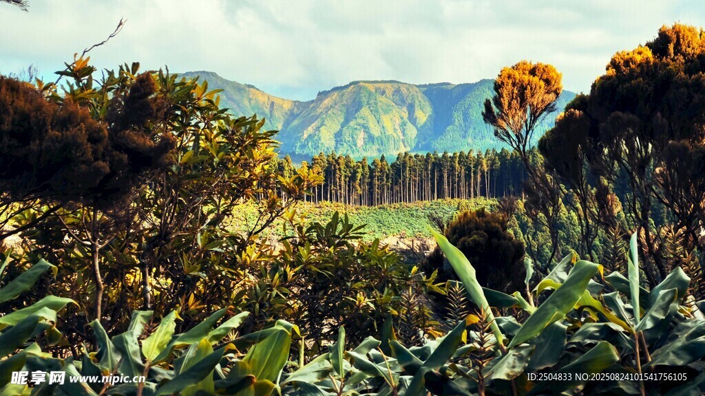 山间繁茂植被与远处山峦