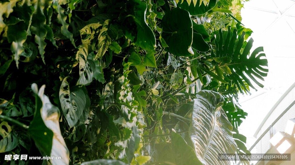 绿植景观 清新自然之景