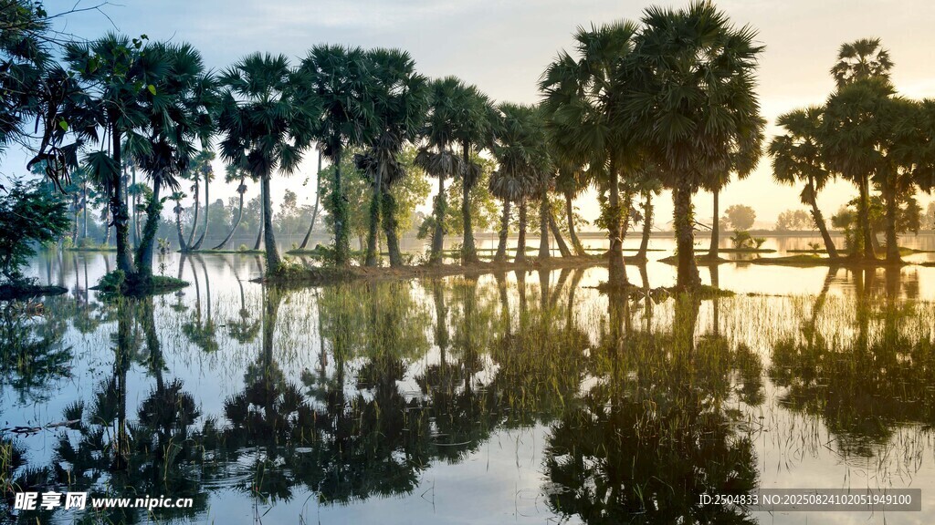 湖畔树林倒影美景