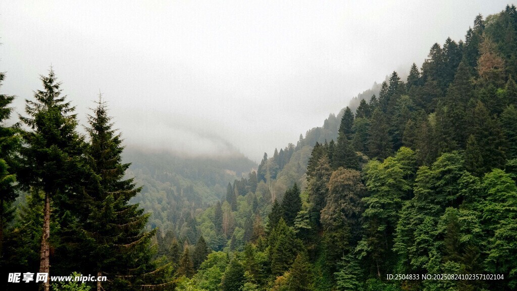 山林云雾间的葱郁景致
