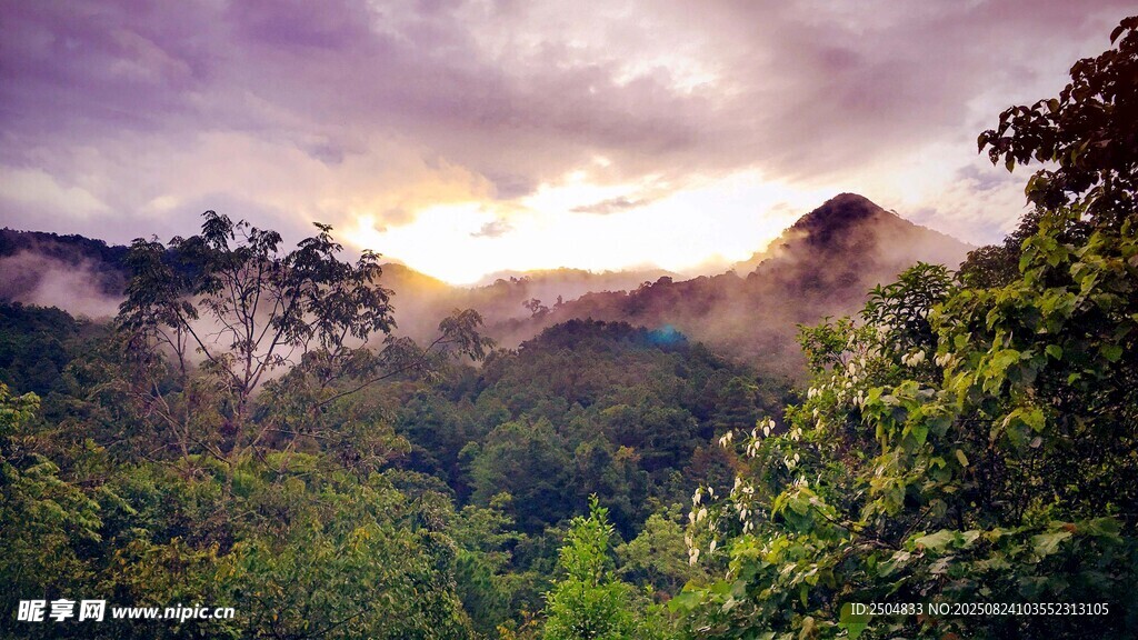 山林晨曦美景