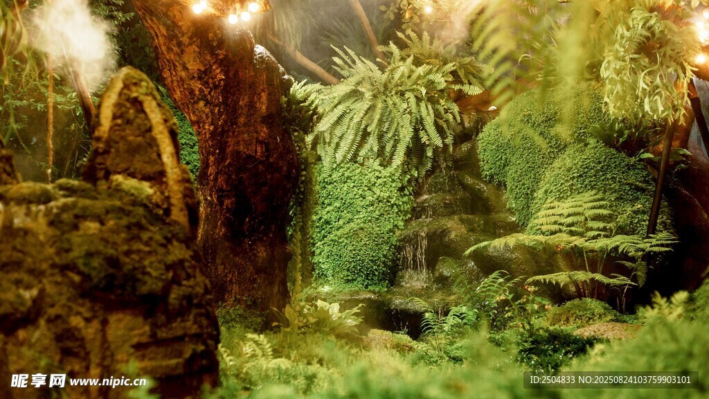 奇幻森林中的神秘植物景观