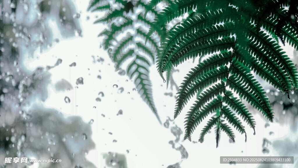 雪覆蕨叶的自然景致
