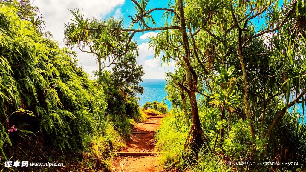 山间绿荫小径 海景在望