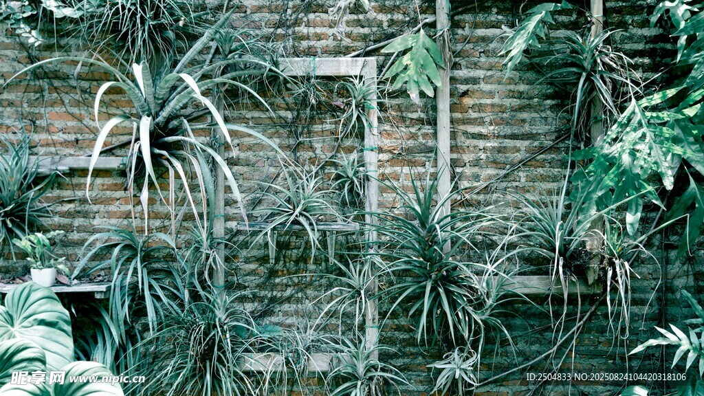 砖墙绿植景观