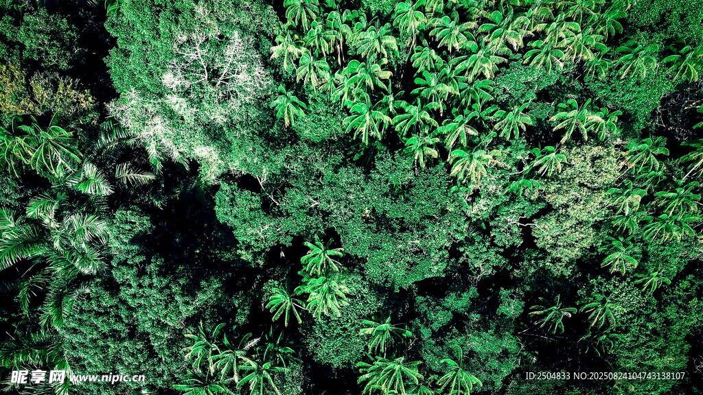 翠绿繁茂的植物景观
