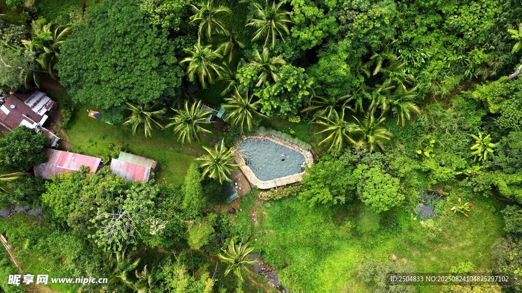 丛林中的静谧小屋