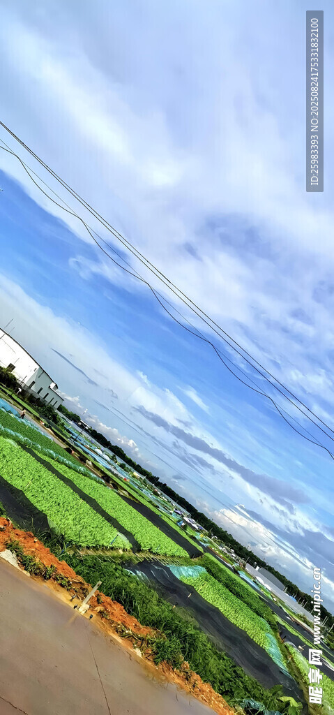 田园