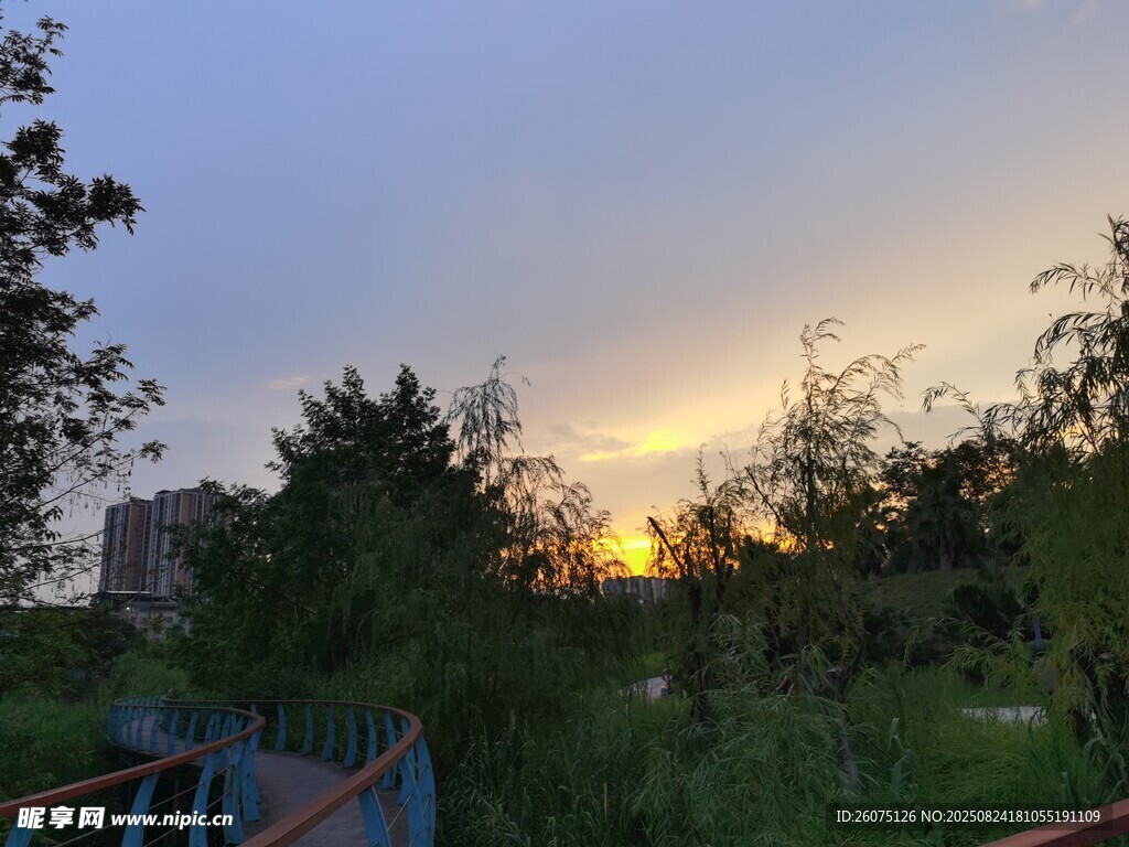 黄昏下的户外绿植与休闲场景