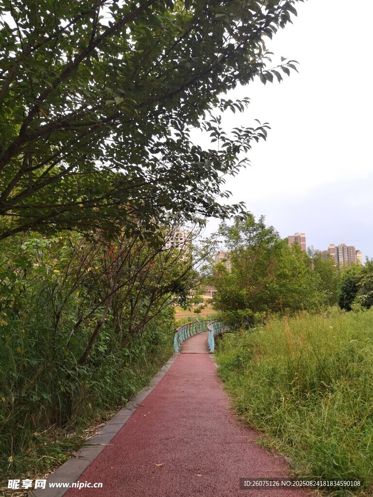 林间红径自然清新景致