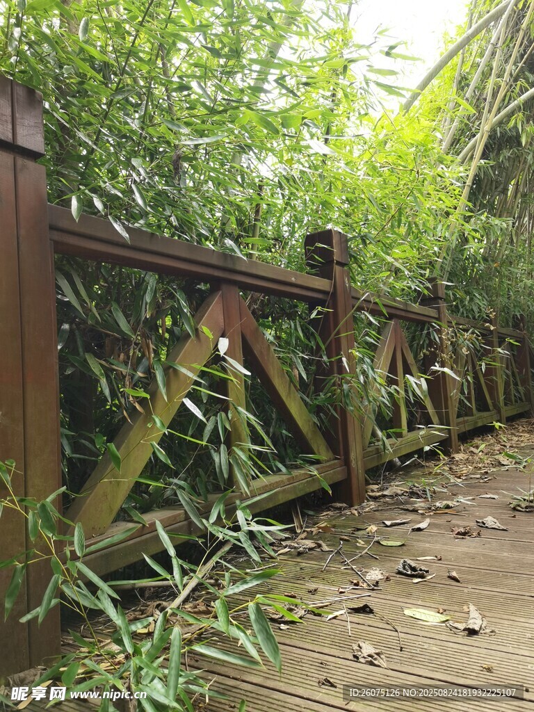木质围栏与繁茂竹林