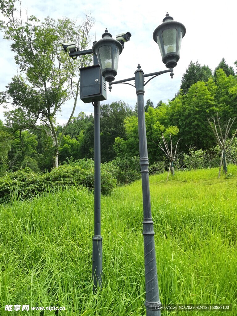 草地中的复古风格路灯