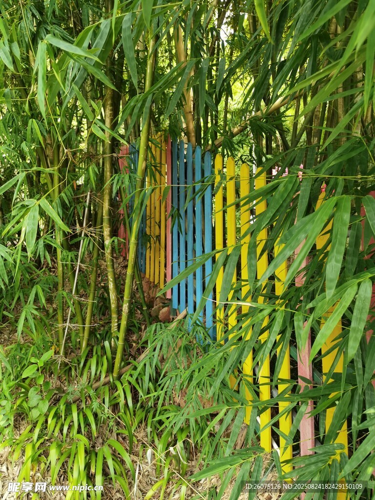 竹林中的彩色门
