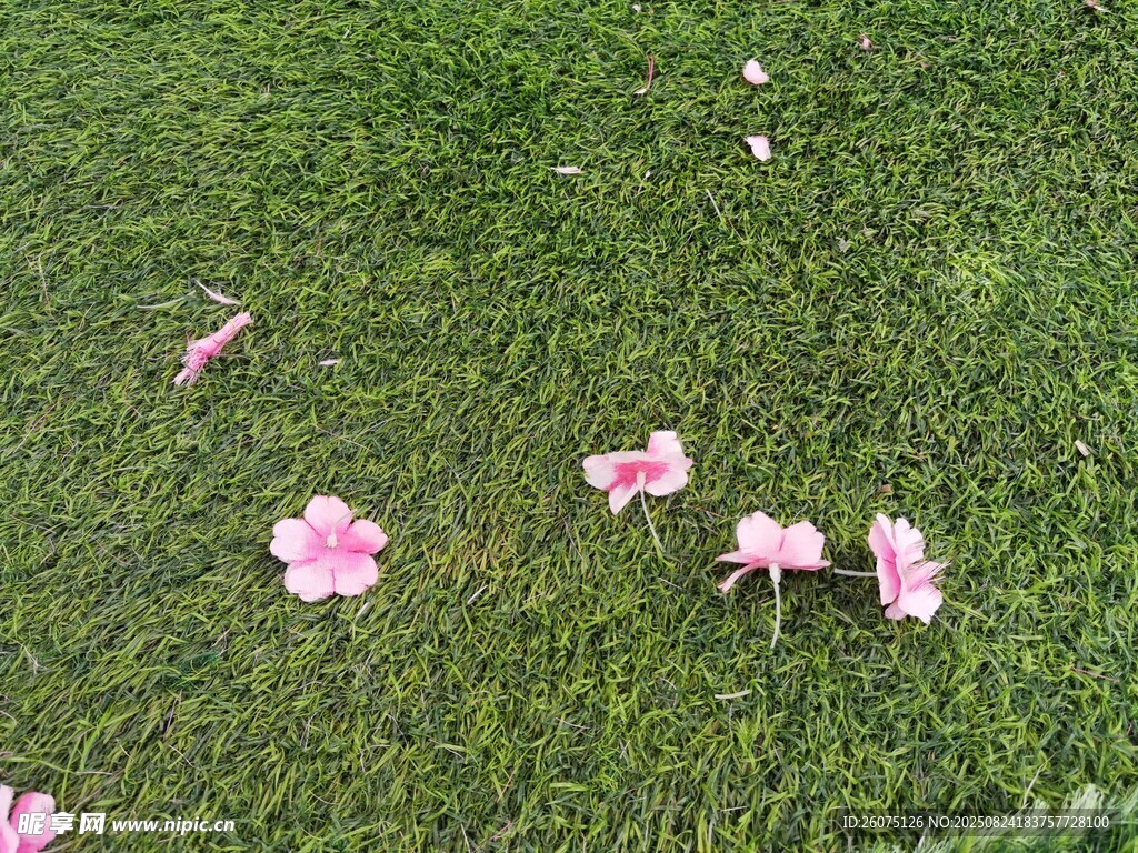 翠绿草地上的粉色仿真花