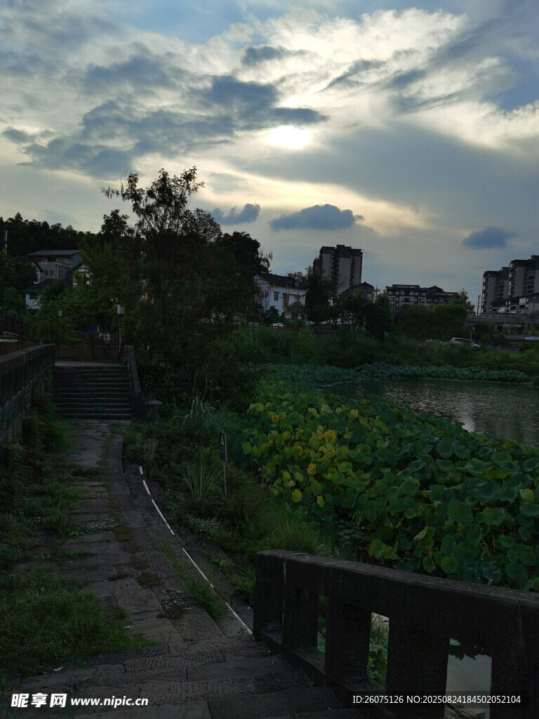 黄昏湖畔小径的静谧景致