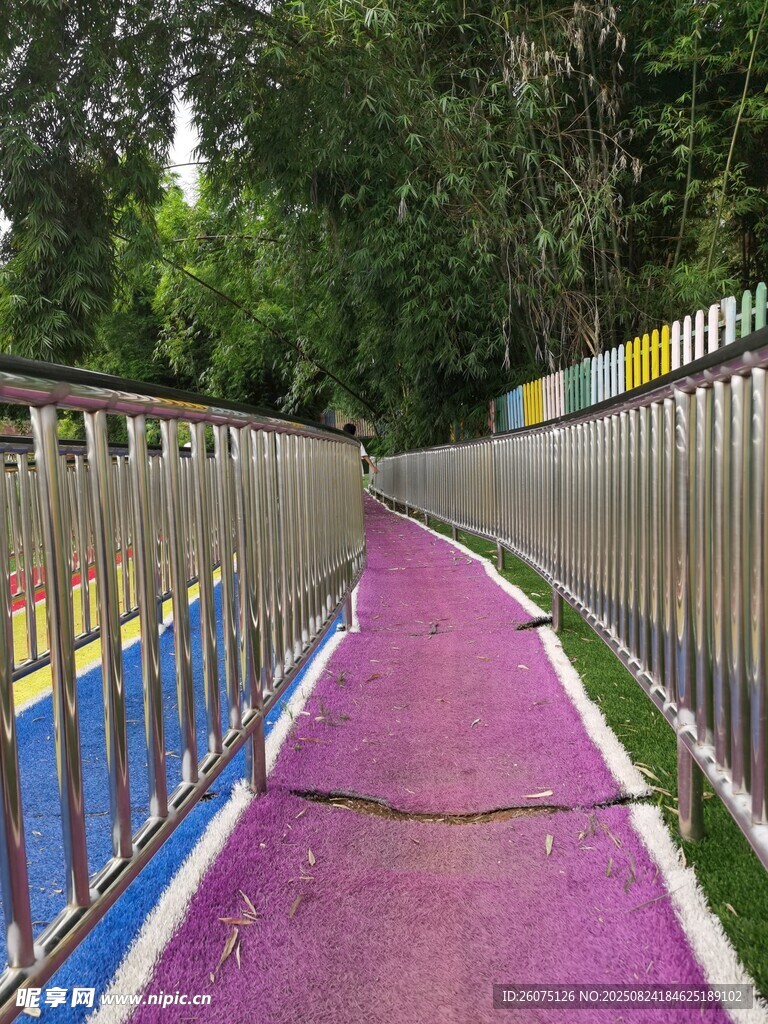 金属护栏彩色步道穿行于绿树间