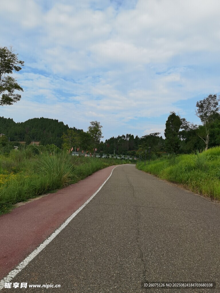 乡村公路与两旁绿植风景