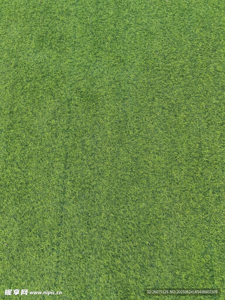 翠绿草坪纹理背景图
