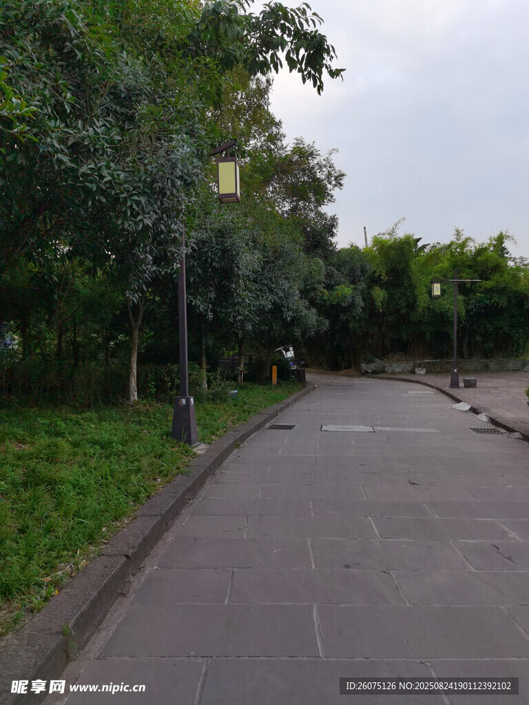林荫与休闲步道路静谧景象