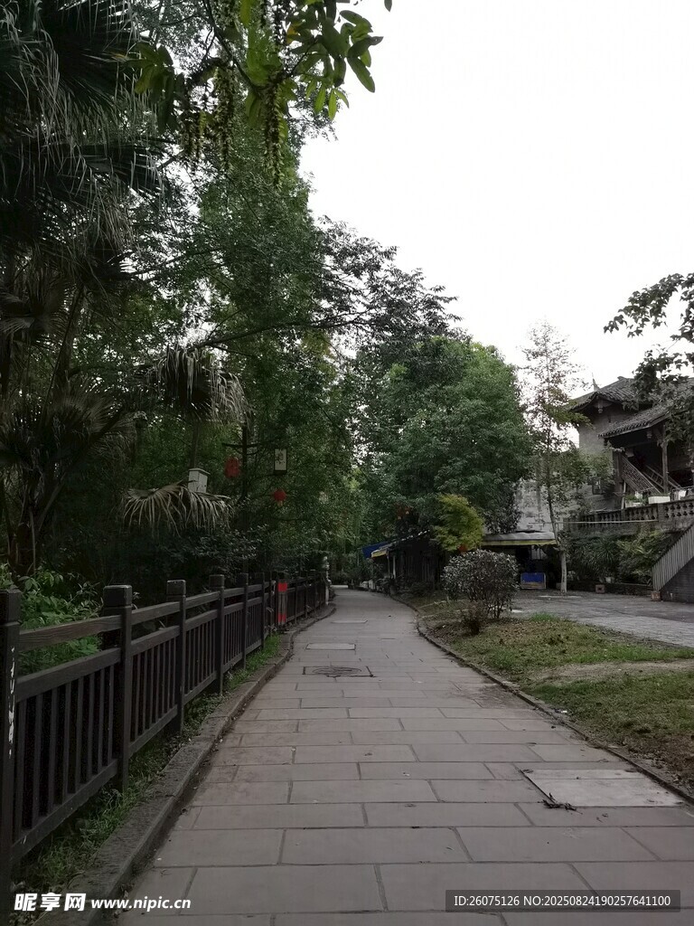 林间幽静步道