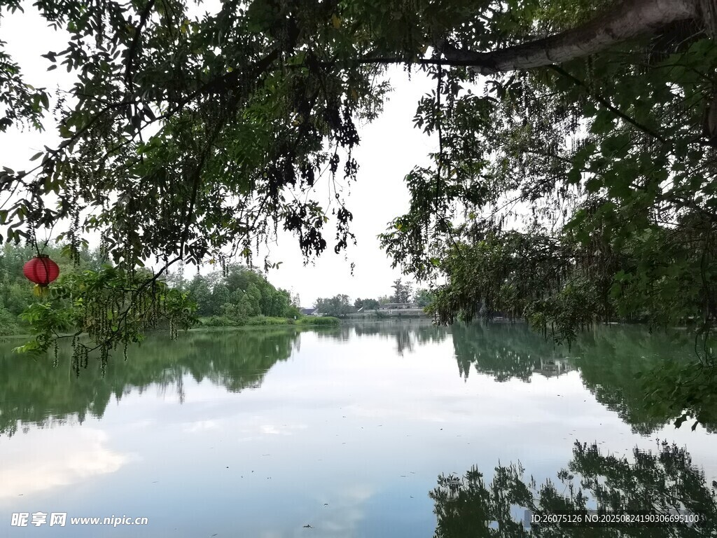宁静河畔绿意盎然的景致