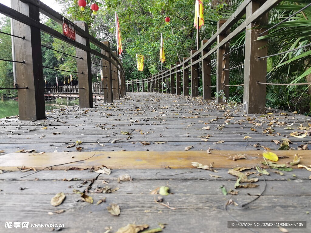 林间木质步道落叶相伴