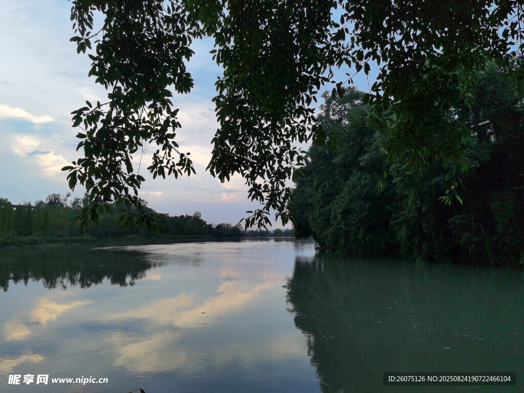 宁静河畔树影倒映的美景