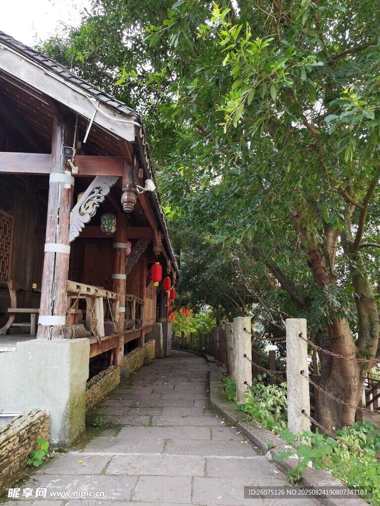 古巷小屋旁的绿意小径
