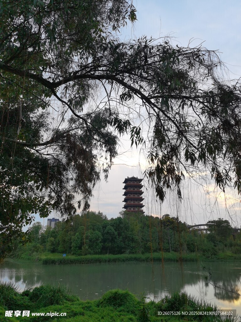 湖畔绿树环绕的古塔风景