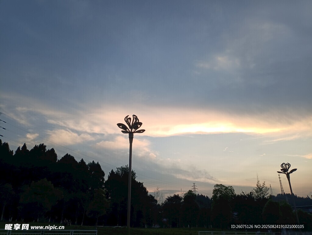 黄昏下的路灯与树林景色