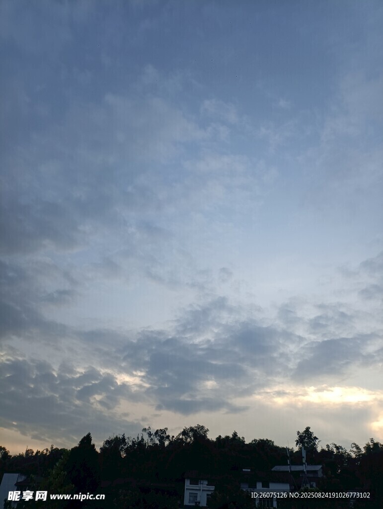 黄昏时分的天空与树梢
