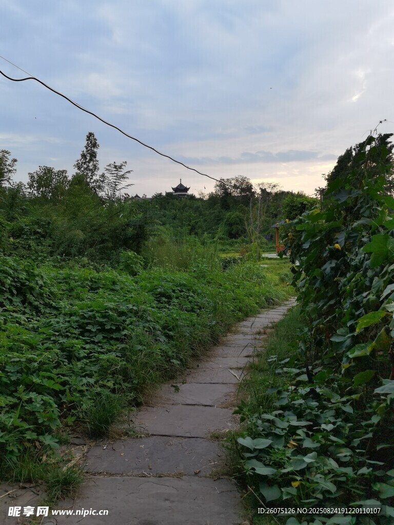 乡间小径绿植环绕的静谧处