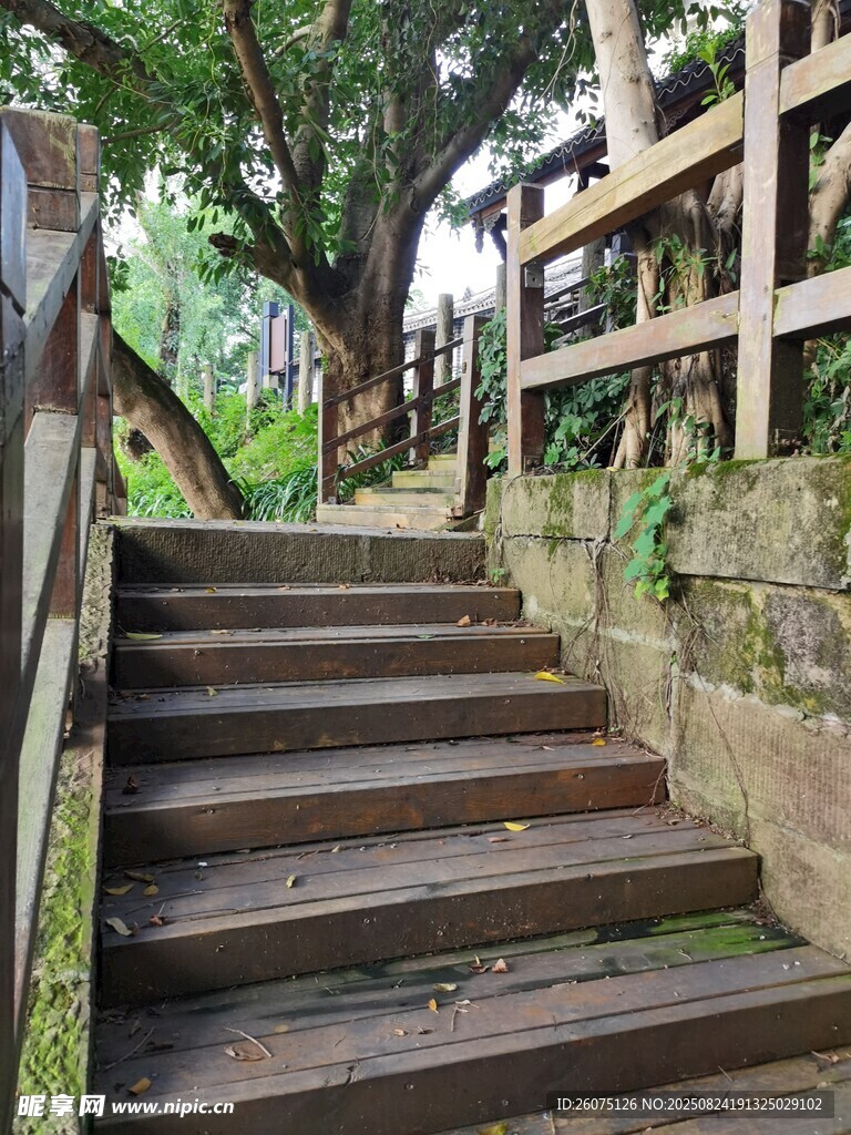 林间木质阶梯自然景致