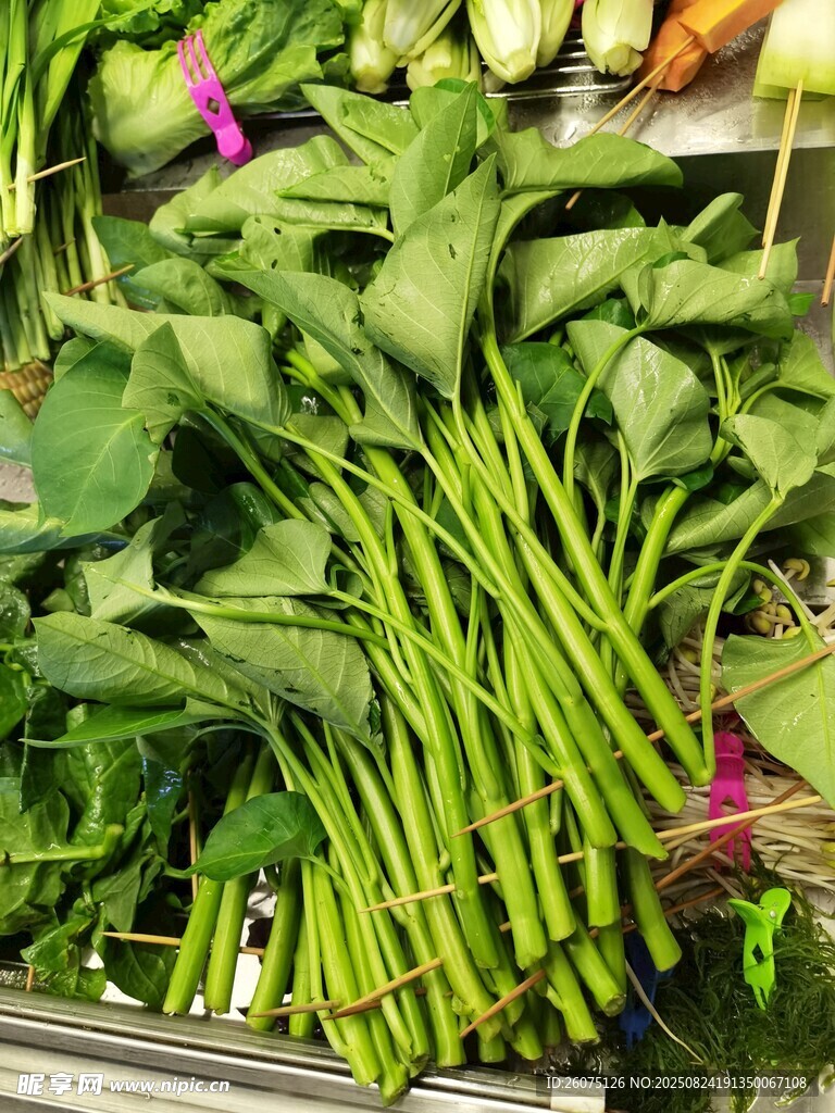 新鲜蔬菜陈列