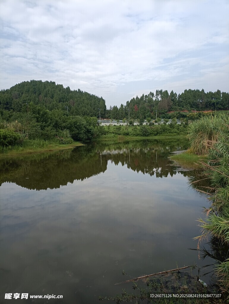 宁静乡村小河风景