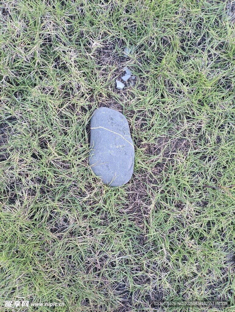 草地上的蓝色石头