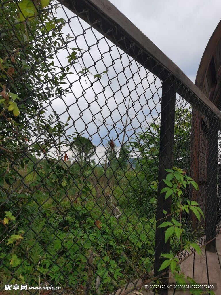 观景台围栏与绿植景观