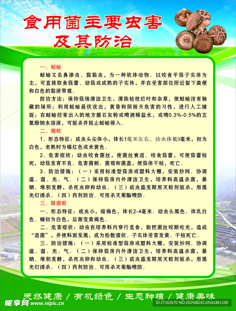 食用菌主要虫害及防治