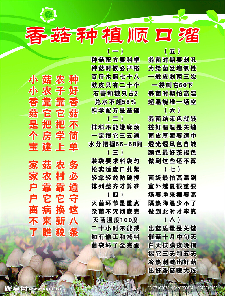香菇种植顺口溜