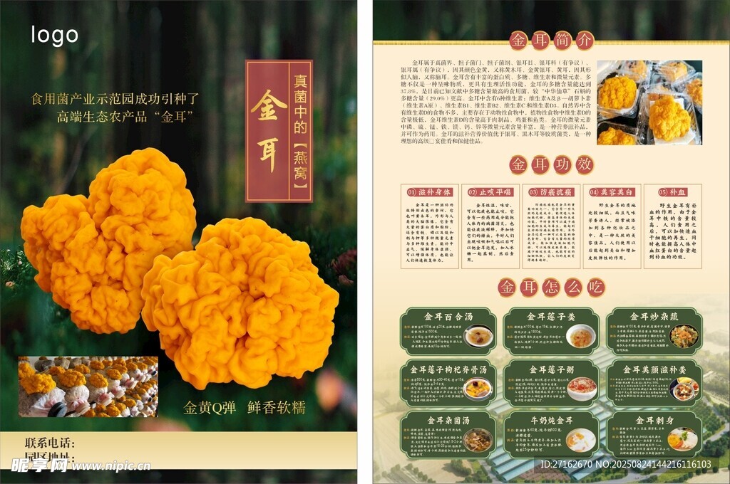 金耳宣传页