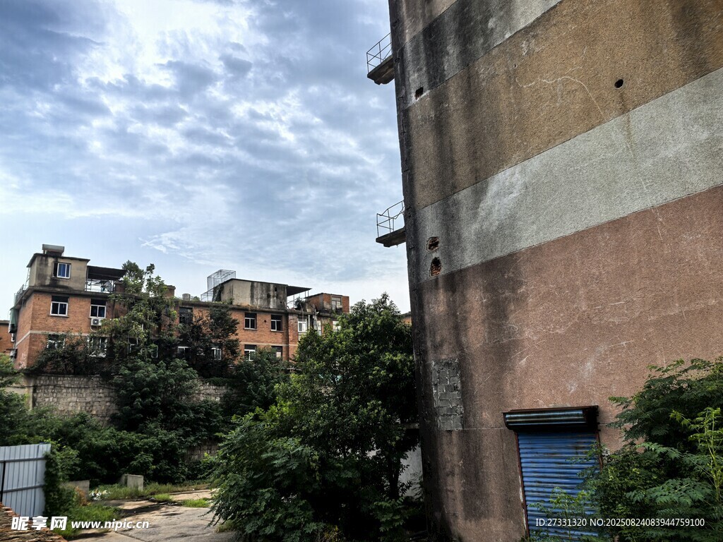 废弃建筑旁的绿植景观