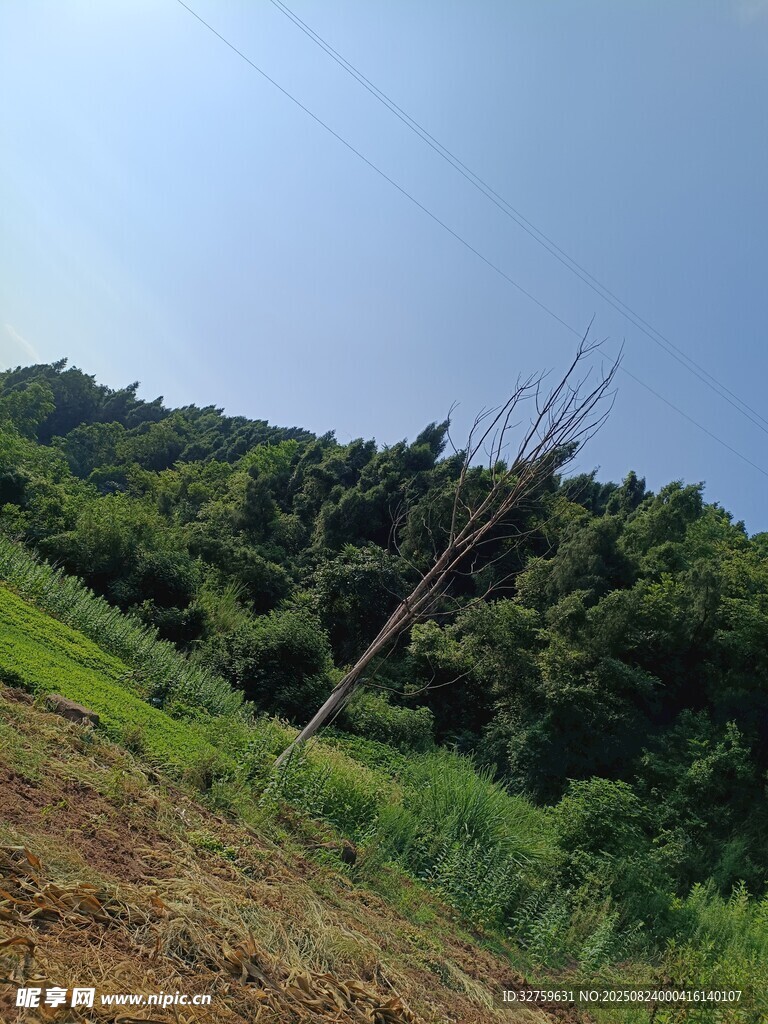 田野山林风光