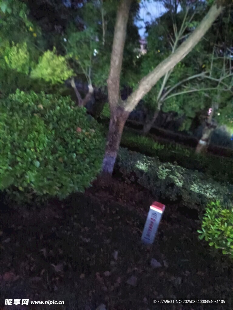 花园中发光的装饰灯